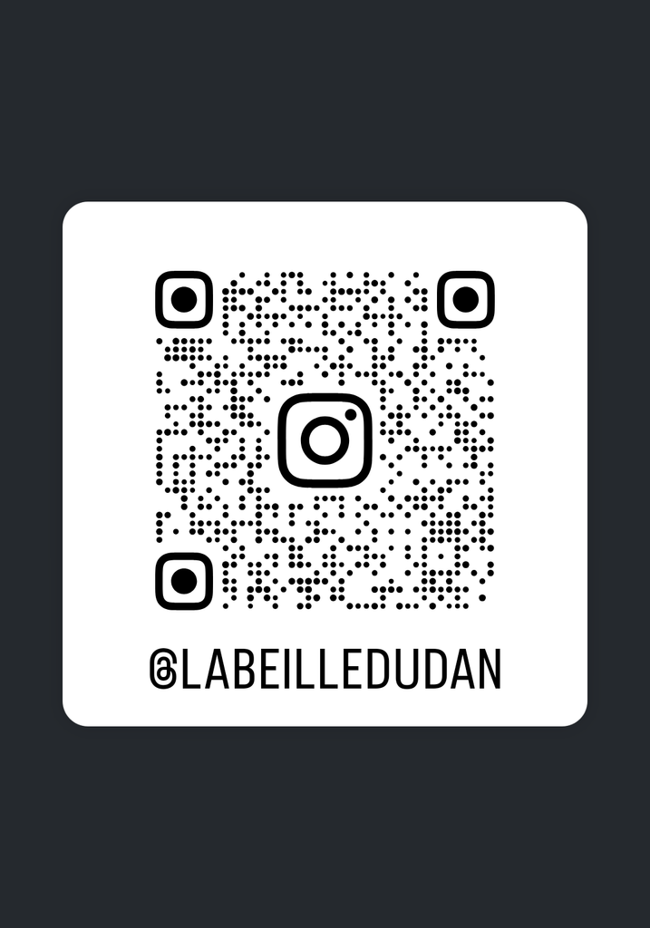 QR CODE INSTAGRAM ABEILLE DU DAN